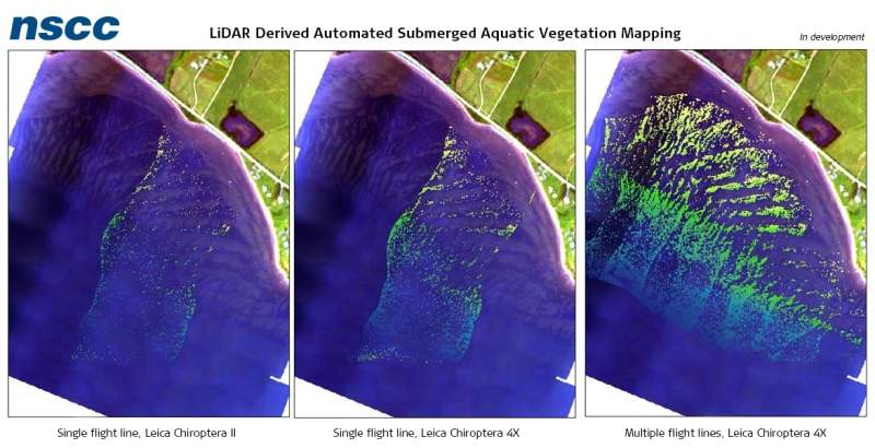 aquatic vegetation mapping
