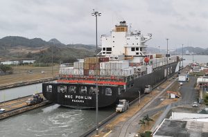 Panama Canal implements speed limits to protect whales