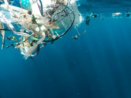 Eyesea enlists shipping industry help to track plastic pollution