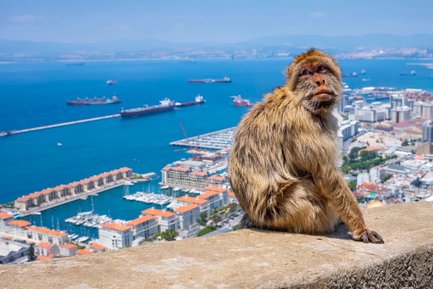 Gibraltar